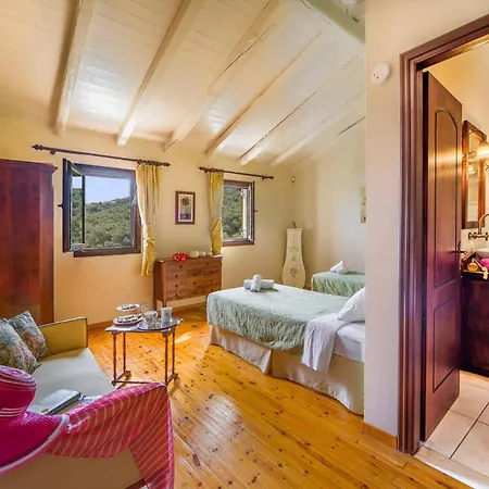 Adonis By Αγνίτσινη